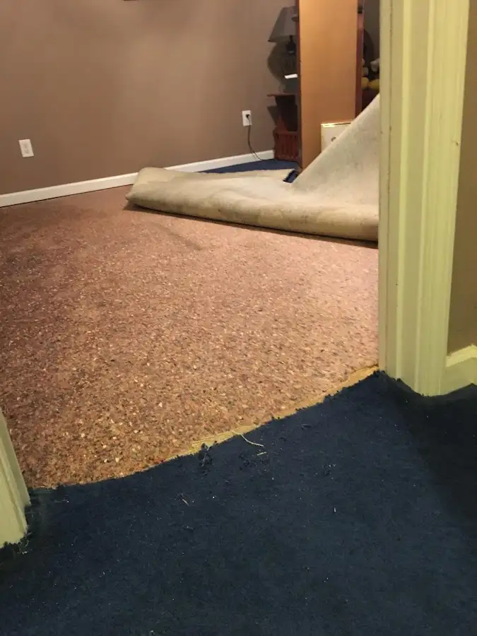 Carpet pad removal revealing water damage during Water Mitigation Services in Lauderhill